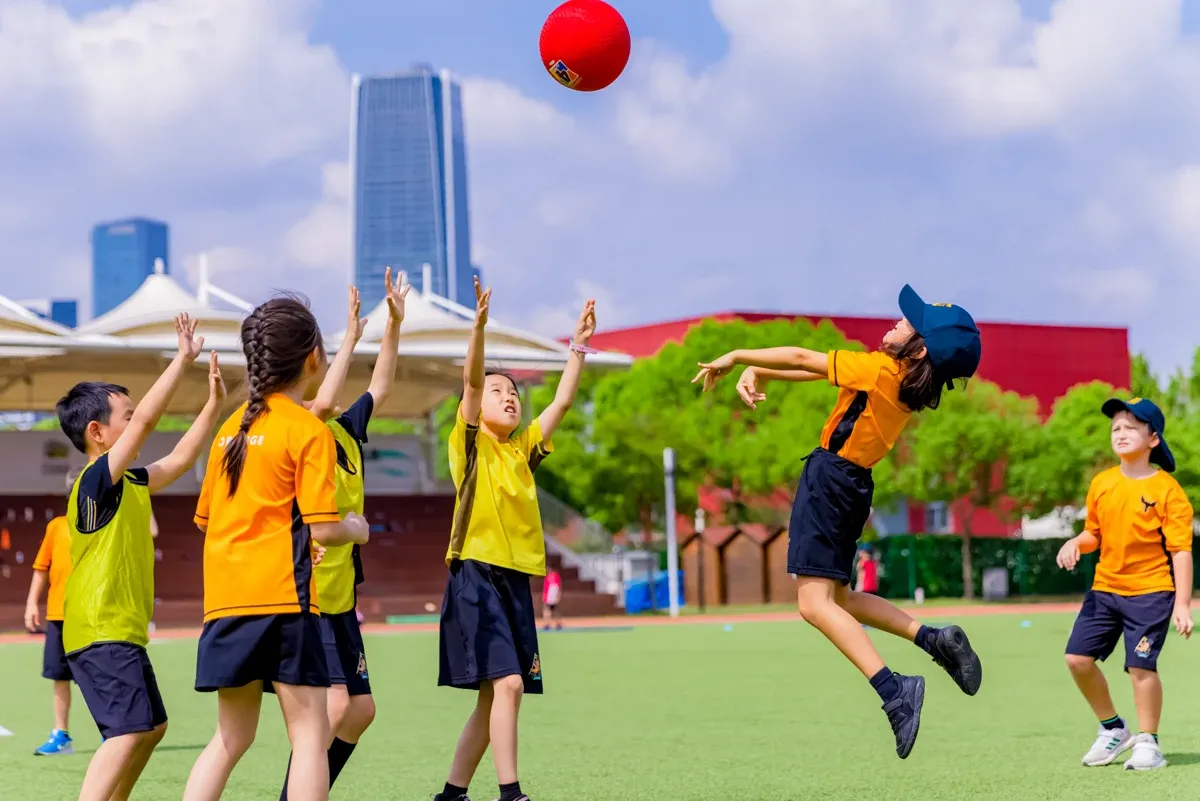 Primary School - House Bench ball 2024